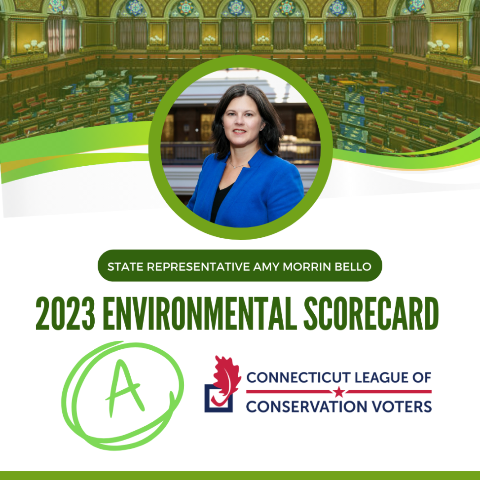 AMB CTLCV Scorecard