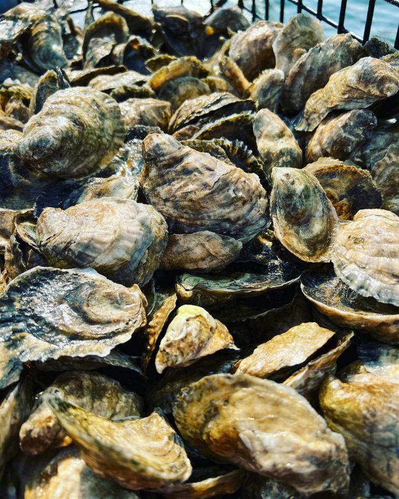 Sixpenny Oyster Farm awarded  $20,000 in state grants.