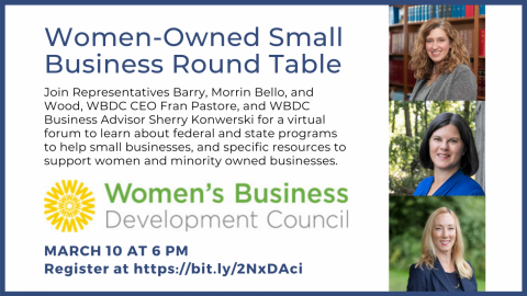 WBDC Virtual RoundTable - Morrin Bello - Barry - Wood
