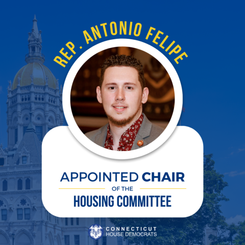 Felipe Chair of Housing