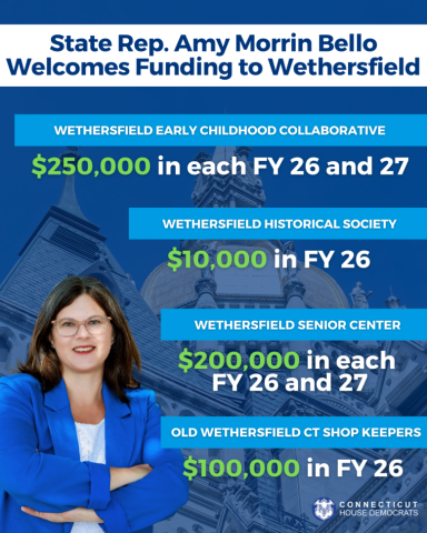 amb - wethersfield budget funding