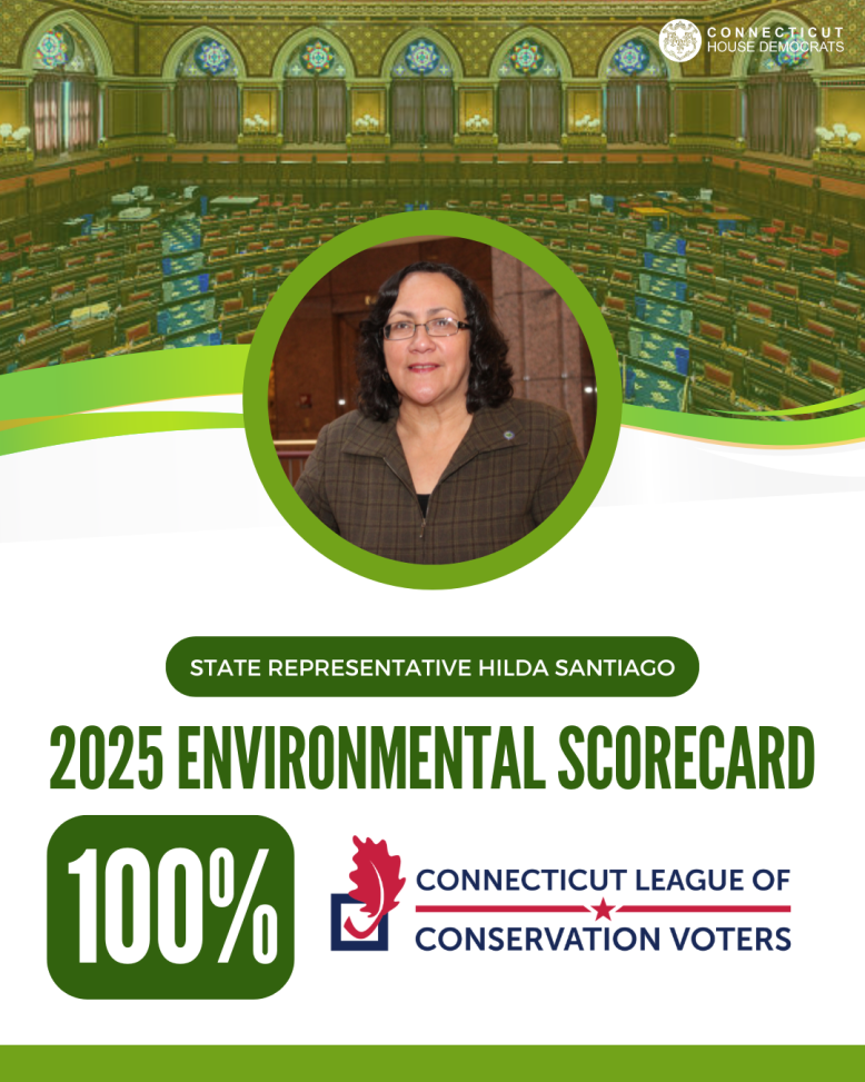 santiagoh environment 2025