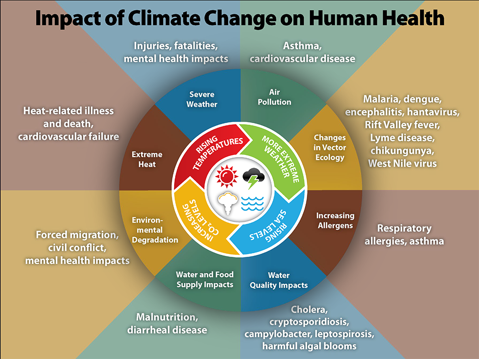Impact on Human Health of Climate Change