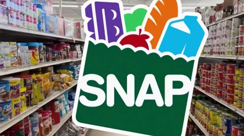 SNAP graphic