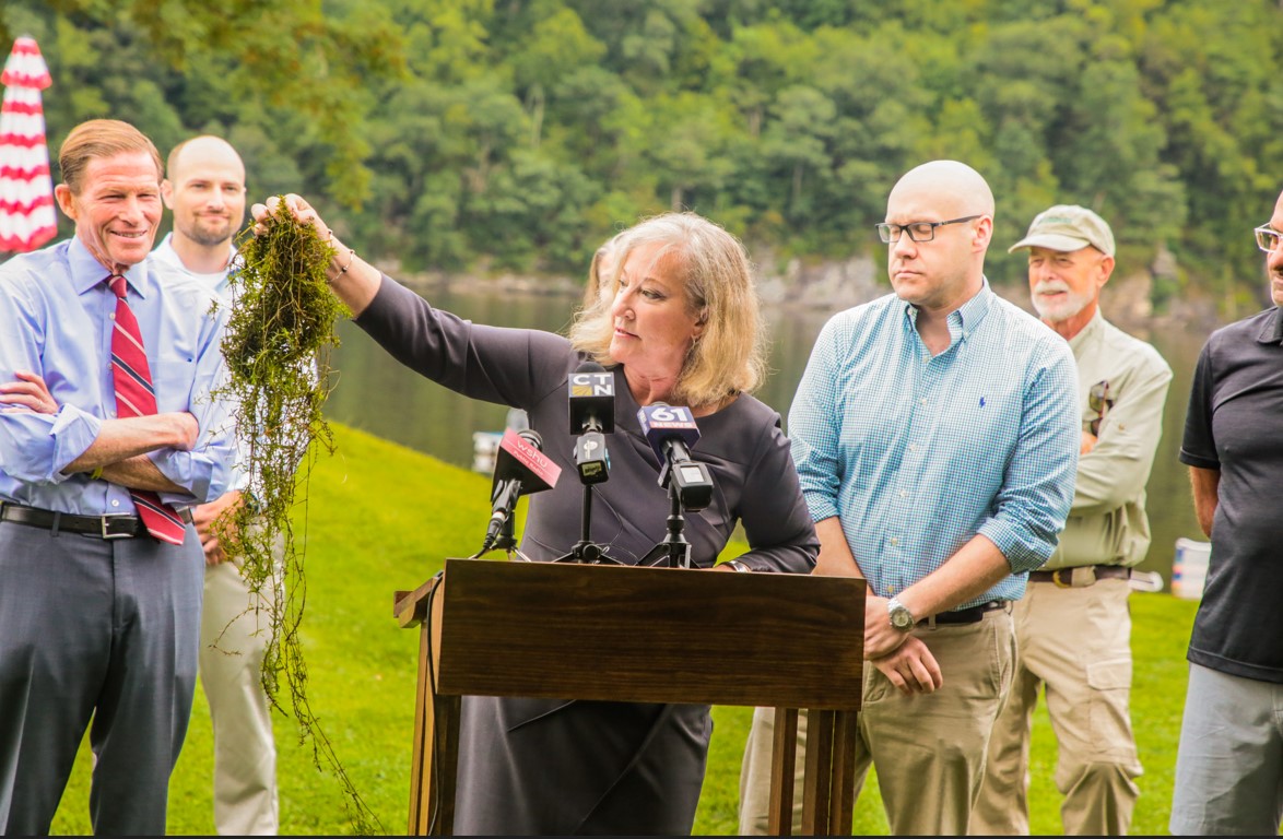 Rep. Christine Palm shows what hydrilla looks like.