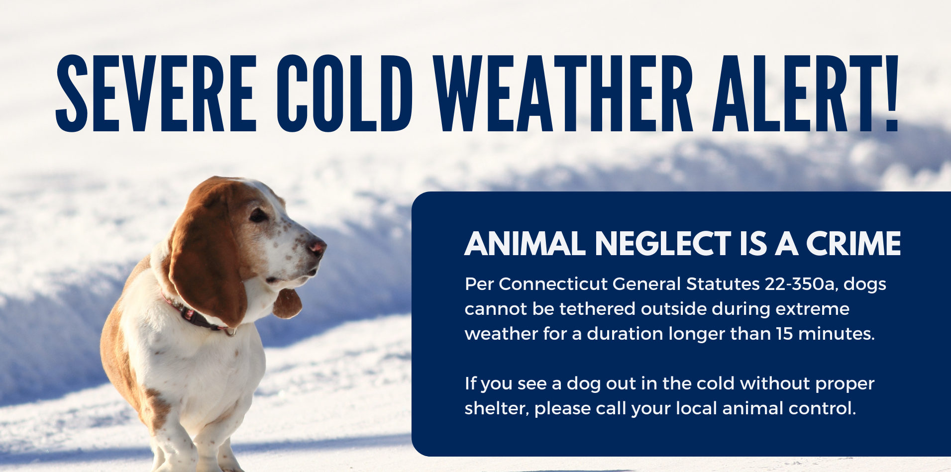 Please do not leave your pets outside in cold weather, it's a crime.