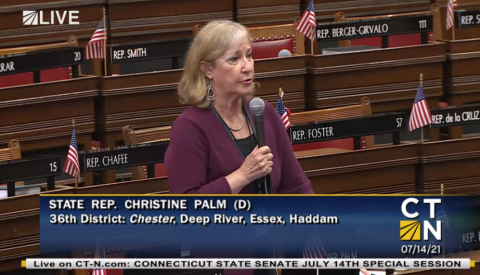 Rep. Palm speaks on the House floor